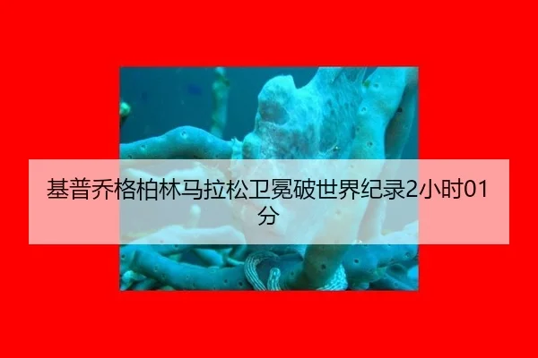 基普乔格柏林马拉松卫冕破世界纪录2小时01分