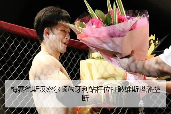 梅赛德斯汉密尔顿匈牙利站杆位打破维斯塔潘垄断