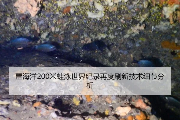 tan-hai-yang-mi-wa-yong-shi-jie-ji-lu-zai-du-shua-xin-ji-shu-xi-jie-fen-xi-2-676.jpg